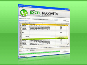 Microsoft Office 2010 Excel Recovery